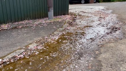 Walderslade resident in dismay over continuous water leak
