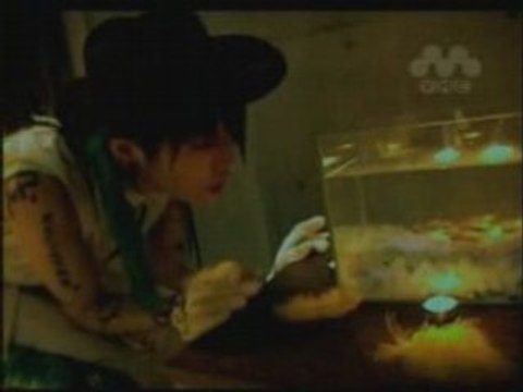 Miyavi - Coo Quack Cluck Ku Ku Ru