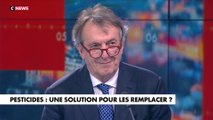 Alain Thibault (Agriodor) : L'Hebdo de l'Éco (Émission du 02/05/2024)