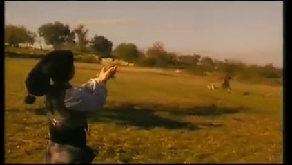 Aparições de Fátima (1991) PT PT