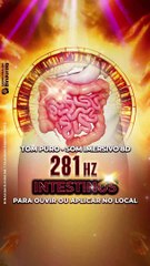 INTESTINOS 281 Hz : Frequencia dos Intestinos Saudáveis descoberta por Barbara Hero