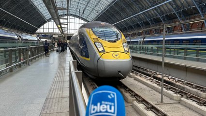 Echange en anglais avec Sophie, Londonienne, utilisatrice régulière de la ligne Londres-Bruxelles