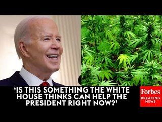 Reporter Grills Karine Jean-Pierre On Biden’s Push To Reclassify Marijuana As A Lower-Risk Drug