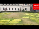 Columbia University Lawn Has Patches Due To Now-Expelled Pro-Palestinian Encampments After NYPD Raid