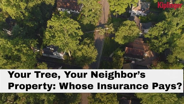 Trees That Falls Into Your Neighbor's Boundaries - Who Is Responsible