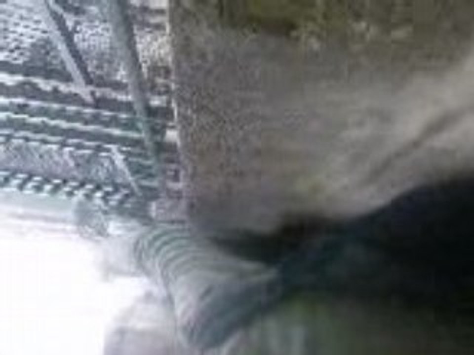 SV_A0036