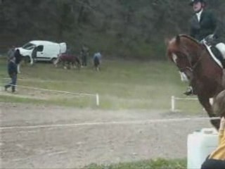 Premier dressage djoly