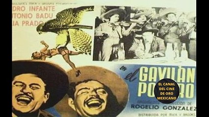 EL ENOJO DE PEDRO TRAS EL CORTE DE UNA ESCENA EN LA PELÍCULA EL GAVILÁN POLLERO