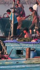 Une guerre pour des méduses ?