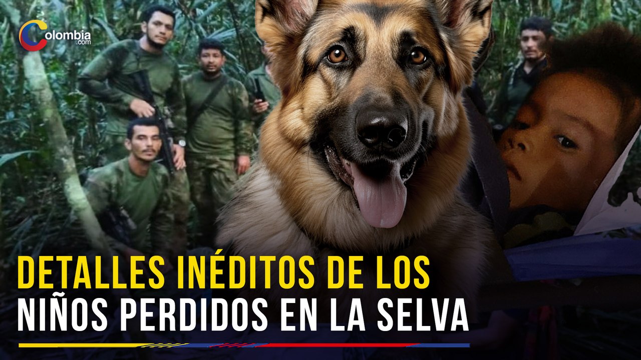 ¿Cómo sobrevivieron los hermanos Mucutuy en la selva y qué pasó con Wilson? Revelan detalles