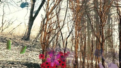 UNBOUNDED: SCREEN FOOTAGE