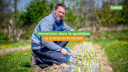 Immersion dans le quotidien de la Ferme de Wichampré
