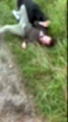 Perros defienden a su dueña