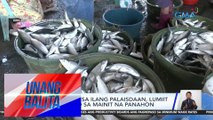 Mga bangus sa ilang palaisdaan, lumiit dahil umano sa mainit na panahon | UB