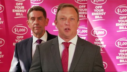 Premier Steven Miles announces The Cheaper Power Bill in a bid to reduce cost of living