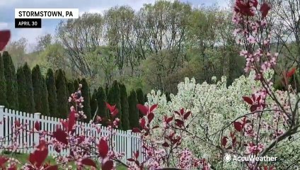 Your pollen forecast for the first weekend of May