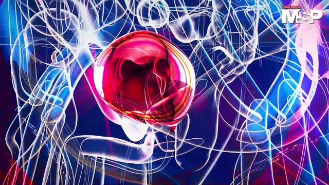 ¿Qué es cáncer de vejiga y cómo se detecta? Tratamientos y más - #ExclusivoMSP