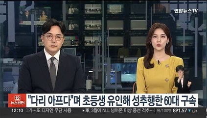 "다리 아프다"며 초등생 유인해 성추행한 60대 구속
