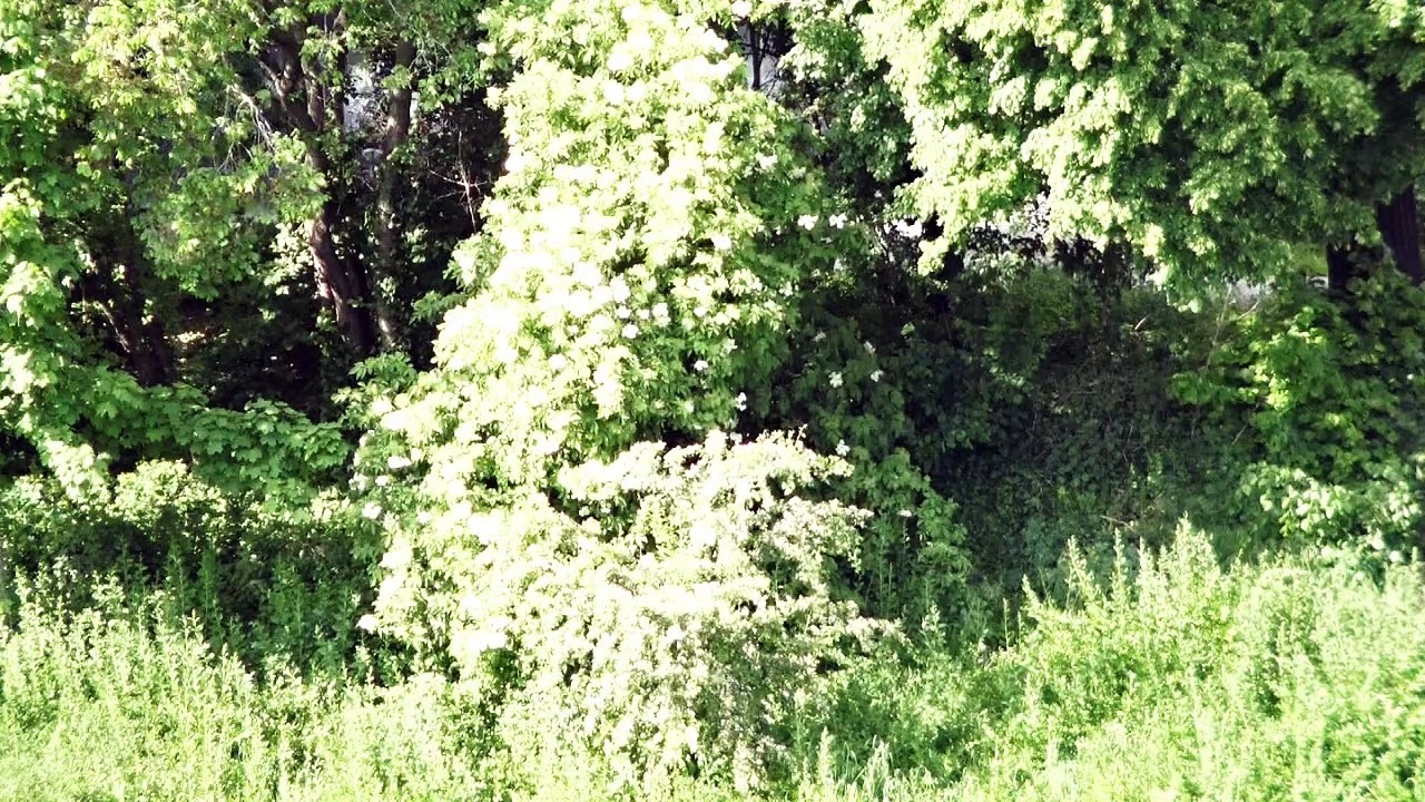 7024 GD Martin Luther a