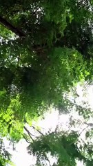 Cỡ Như Cô Á Không Bằng Một Góc Của Vợ Tôi Nữa