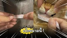 หลักฐานเป๊ะขนาดนี้ ดูท่าจะไม่รอด !