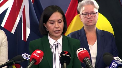 NSW government to unveil emergency domestic violence package within days as experts say a decade of reports contain solutions