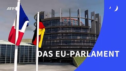 Videografik: Das EU-Parlament