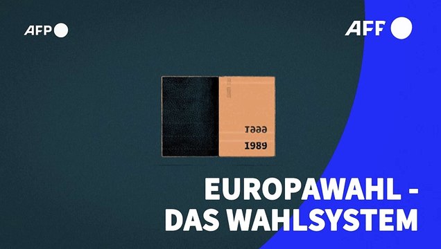 Videografik: So läuft die Europawahl ab