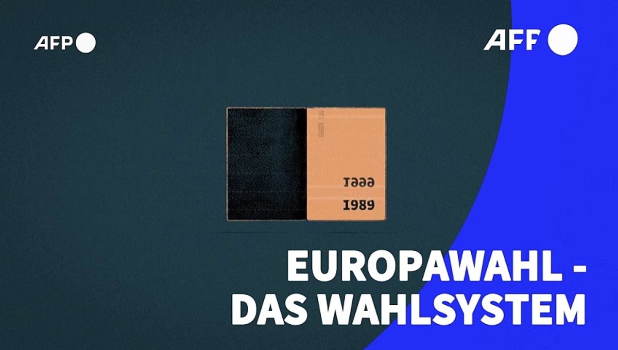 Videografik: So läuft die Europawahl ab