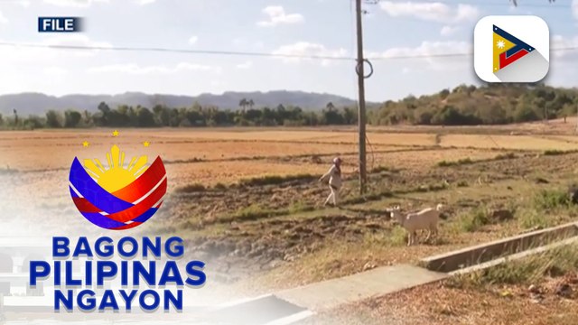 Panayam kay DA Asec. Arnel de Mesa kaugnay sa epekto ng #ElNiñoPH sa agrikultura