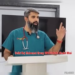 Dinosaur Taj Mahal main