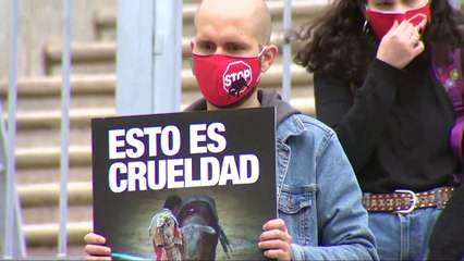 El Ministerio de Cultura suprime el Premio Nacional de Tauromaquia