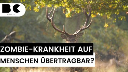 Jäger sterben nach Verzehr von Zombie-Hirschfleisch!
