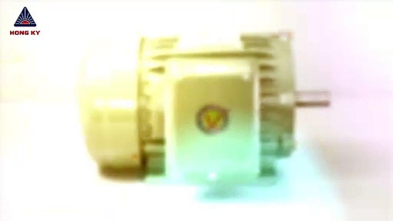 Motor cốt dương Hồng Ký