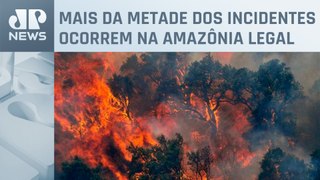 Brasil tem recorde de incêndios florestais em 2024