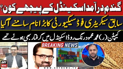 Who was behind the 'Wheat Import Scandal? Big name came to light | Breaking News | Shocking details