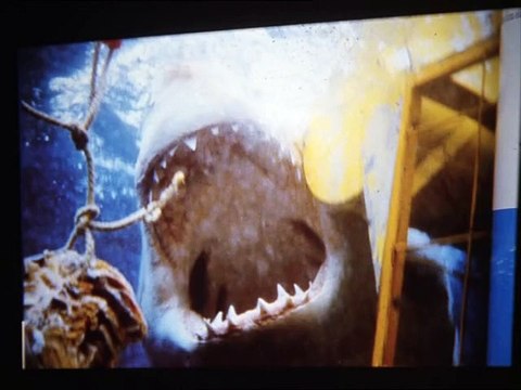 Cazador de Tiburones 2001 Español Latino - Shark Hunter
