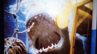 Cazador de Tiburones 2001 Español Latino - Shark Hunter