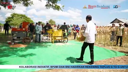 Presiden Jokowi Tinjau Panen di Sumbawa