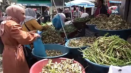 Otlu peynire tat veren bitkilere büyük ilgi