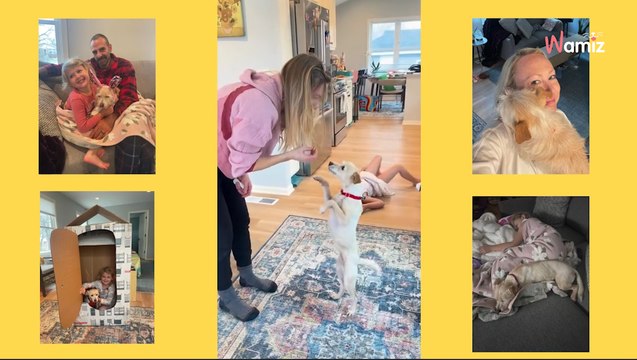 Un chien perdu pendant 9 mois a été retrouvé à plus de 3000 kilomètres de son lieu de disparition