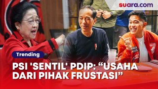 PSI 'Sentil' PDIP Soal Gugatan Di PTUN: Usaha Dari Pihak Frustasi