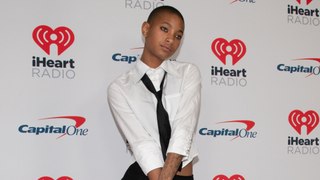 Willow Smith said being called a “nepo baby” encouraged her to work hard to “prove them wrong”