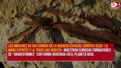 Científicos encuentran “arañas” en Marte