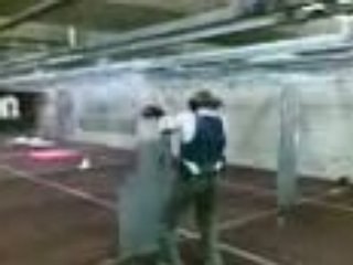 gui stand de tir de vlg