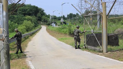 [경기] 14일부터 'DMZ 평화의 길 4개 테마노선' 개방 / YTN