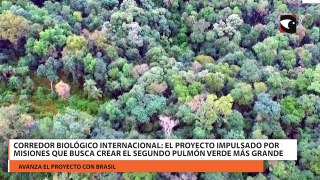 Corredor Biológico Internacional: el proyecto impulsado por Misiones que busca crear el segundo pulmón verde más grande después del Amazonas