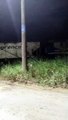 VÍDEO: “Total imprudência”, diz empresa de trem após batida com ônibus em Joinville