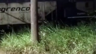 VÍDEO: “Total imprudência”, diz empresa de trem após batida com ônibus em Joinville