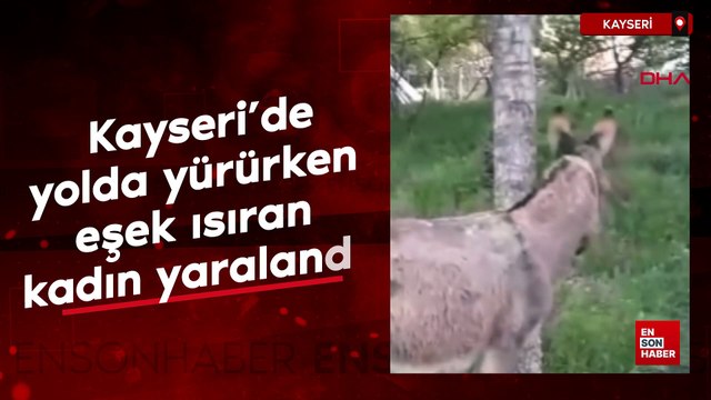 Kayseri'de yolda yürürken eşek ısıran kadın yaralandı